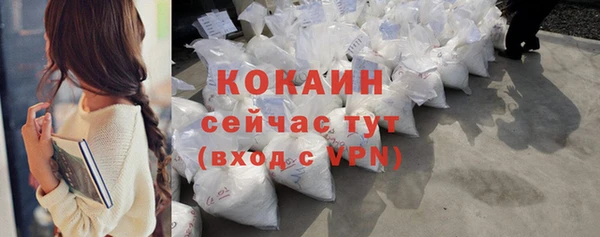 дмт Бикин